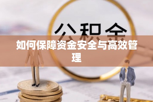 湖北如何保障资金安全与高效管理