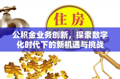 湖北公积金业务创新，探索数字化时代下的新机遇与挑战