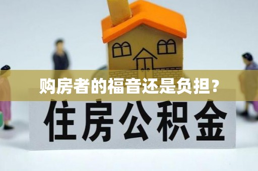 湖北购房者的福音还是负担？